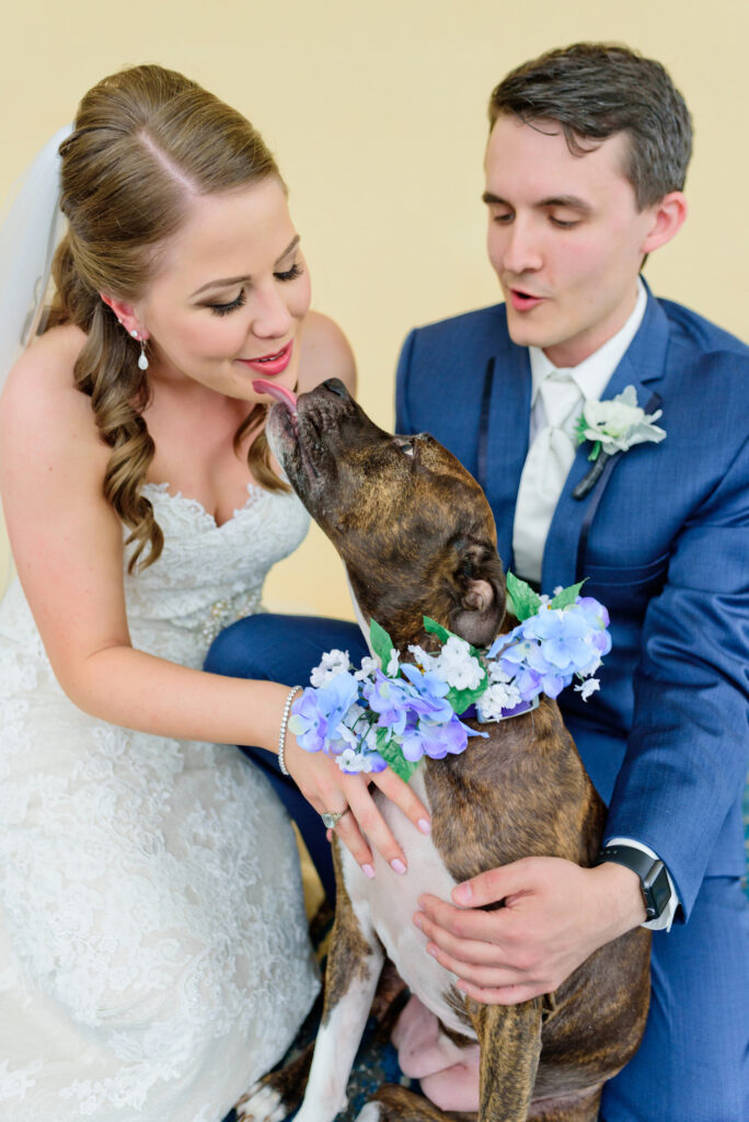 dog friendly hotel orlando wedding